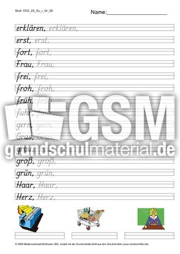 DSS_2S_Bu_r_Nr_08.pdf
